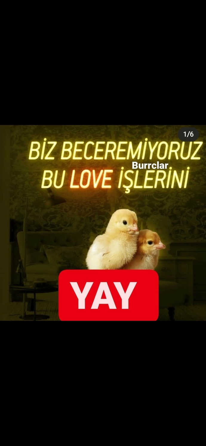 İlişki yaşamaktan hangi burç daha çok korkar sizce?