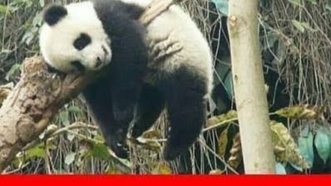 Bugün sadece bana mı çok sıkıcı geliyor?