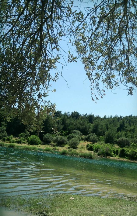 Galerideki en son fotoğrafınız neydi?