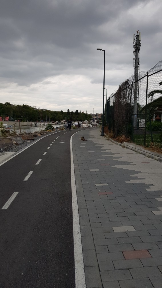 Galerideki en son fotoğrafınız neydi?