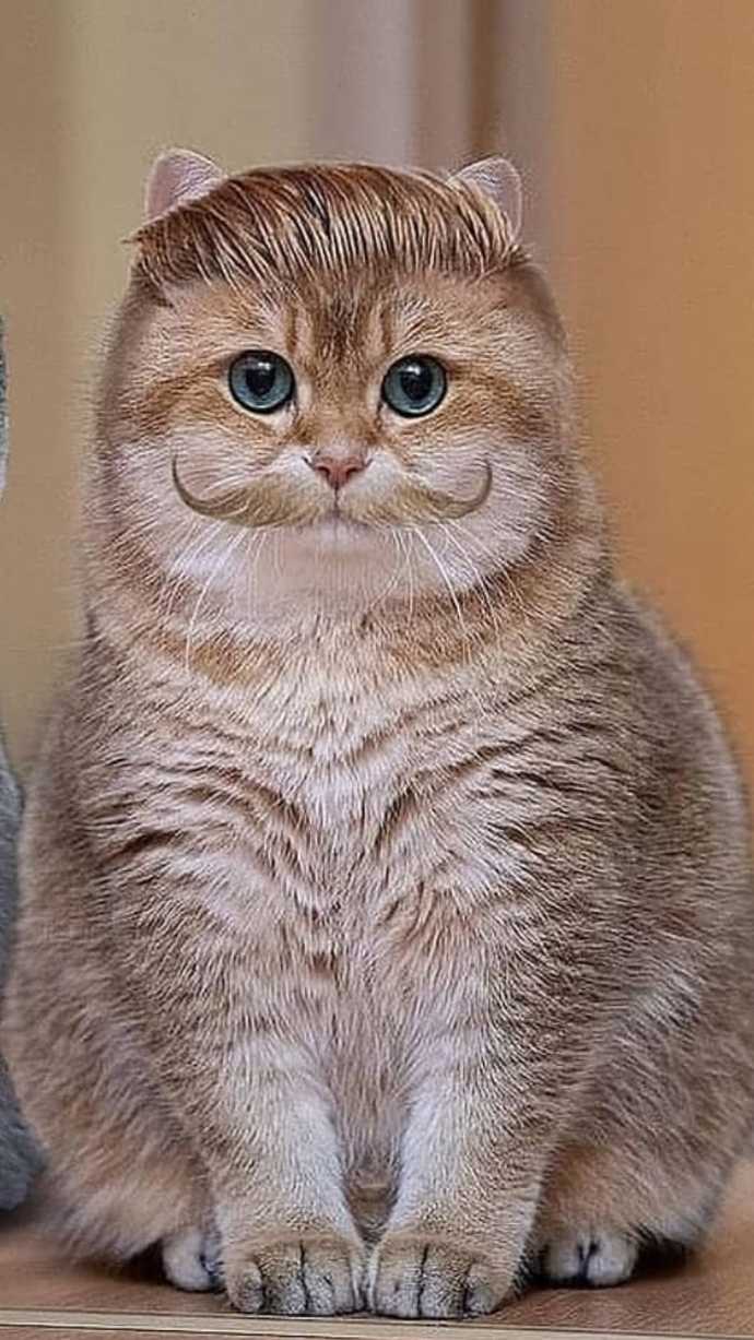 Şu