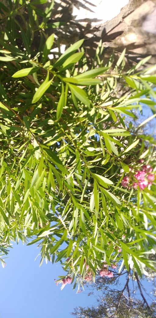 Galerideki en son fotoğrafınız neydi?