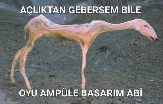 Galerideki en son fotoğrafınız neydi?