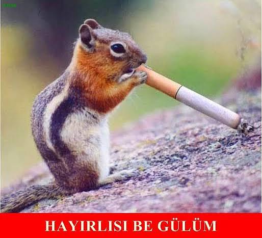Seks bağımlısı bir eşle baş edebilir misiniz?