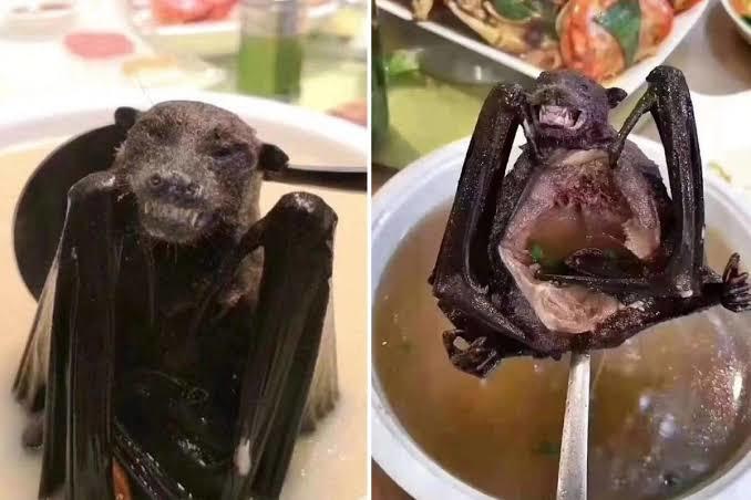 En çok hangi çorba çeşidini seviyorsun, yarasa çorbası içer miydiniz?