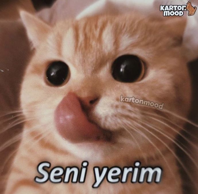 Neden her gördüğünüz renkli gözlü kişilere lens bu gerçek değil diyorsunuz?