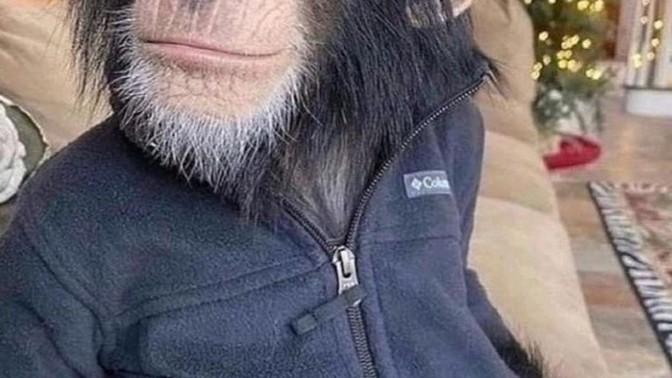 Güzelliginizi~Yakışıklılığınızı kimden aldınız?