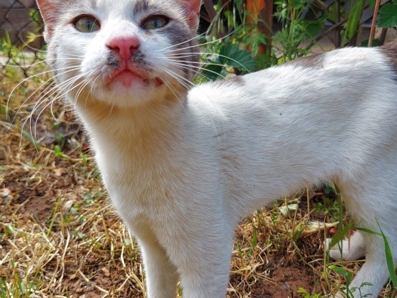 Galerinizdeki son fotoğraf nedir?