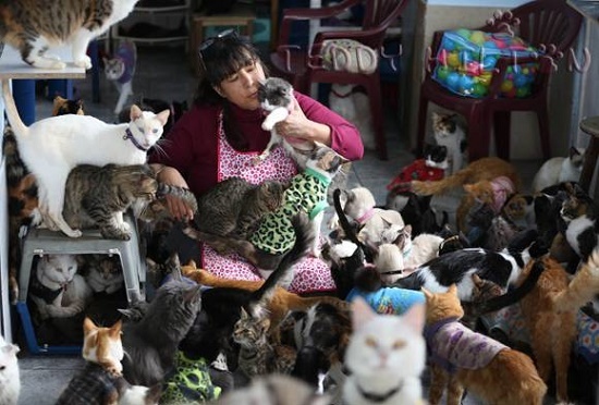 Kedi bakan kadınlara nasıl bakıyorsunuz?