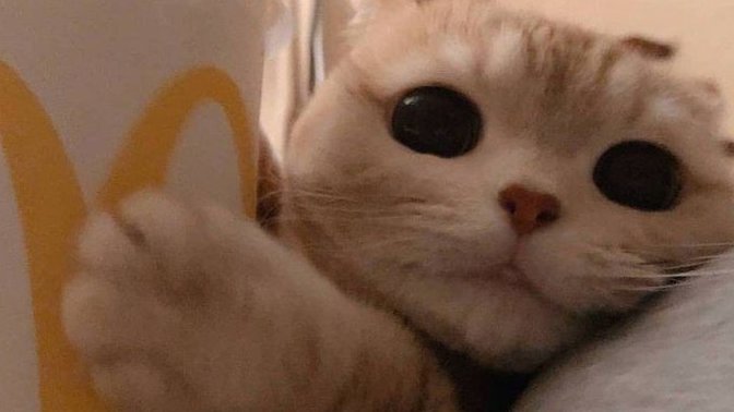 Pazar kahvaltılarının olmazsa olmazı nedir?