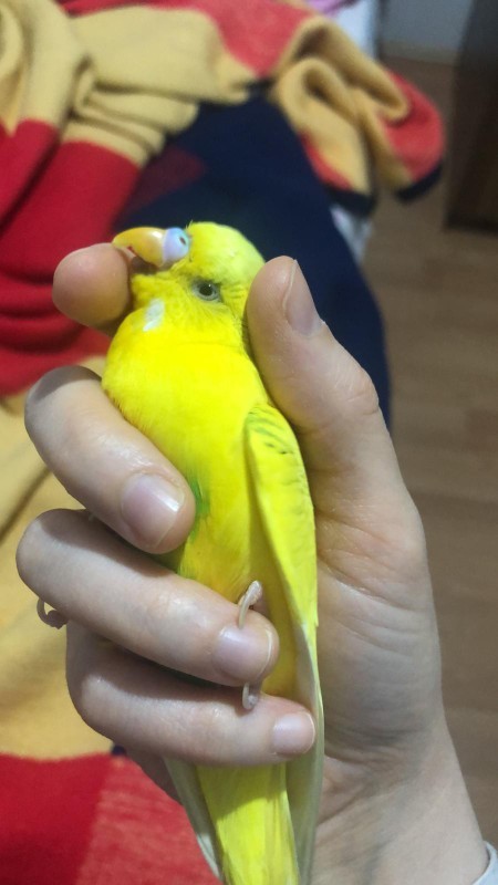 Bu dünya icin fazla güzel bulduğunuz ne var?
