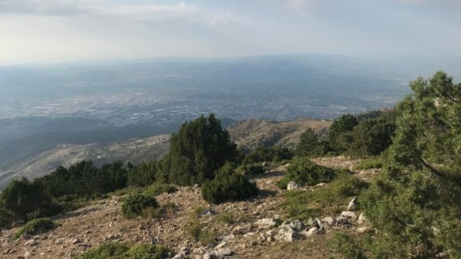 Yavri yavri, Hüma kuşu yükseklerden mi seslenir?