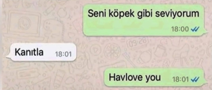 Seni seviyorum dediğiniz kişi sevdiğinize dair kanıt istese nasıl gösterirdiniz?
