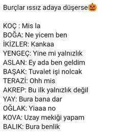Burçlar ıssız adaya düşerse! Sizin burcunuz ne?
