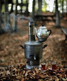 En zevkli fakir aktivitesi nedir?