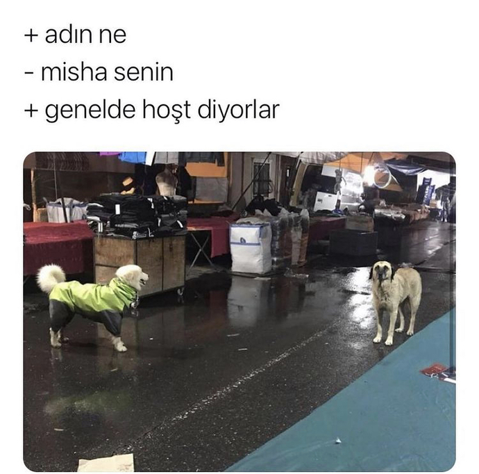 Statü farkı sevgili olmayı engeller mi?