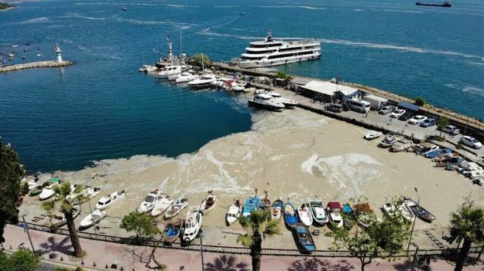 Marmara denizi tertemiz nasıl olur?