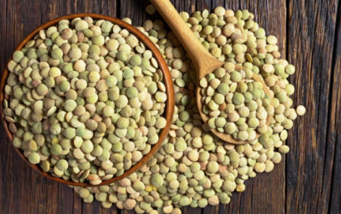 Yumurta dışında bir protein önerir misiniz?