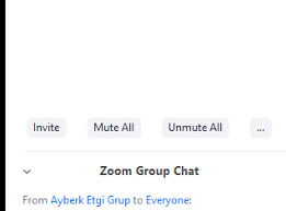 Zoom Mute All Ne Demek? Nasıl Yapılıyor?