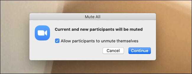 Zoom Mute All Ne Demek? Nasıl Yapılıyor?