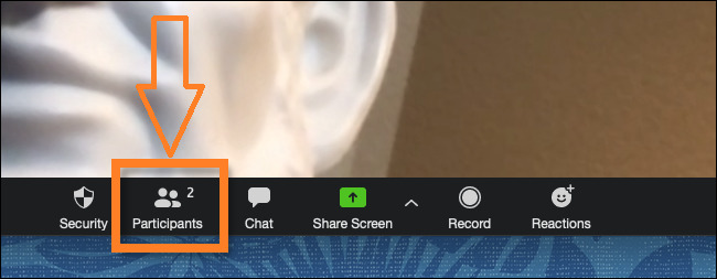 Zoom Mute All Ne Demek? Nasıl Yapılıyor?