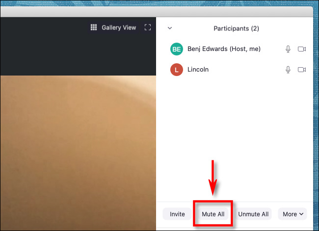 Zoom Mute All Ne Demek? Nasıl Yapılıyor?