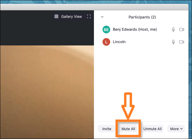 Zoom Mute All Ne Demek? Nasıl Yapılıyor?