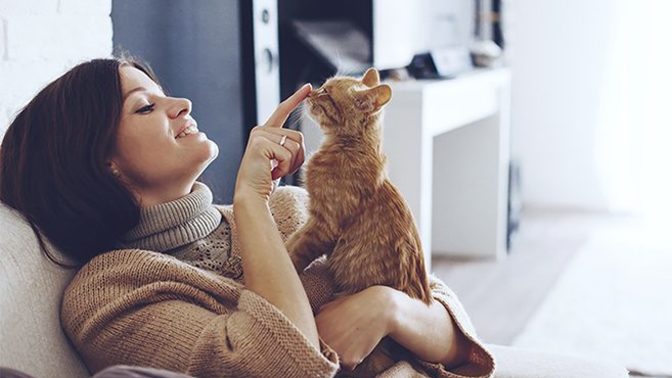 Hayvanları sever misiniz, korkar mısınız?