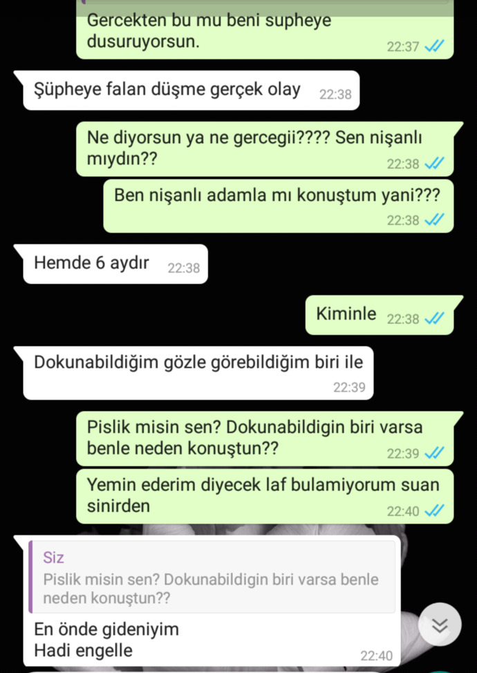 Dünden beri aynı yazışmaları okudum sabaha kadar. Delirmiş olabilirmiyim?