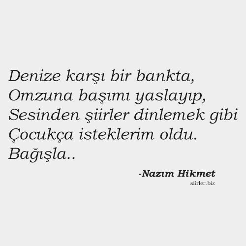En sevdiğiniz şair hangisi?