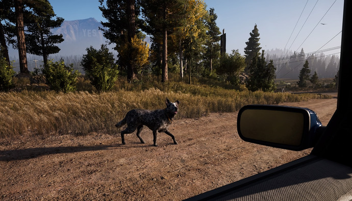 Far Cry 5 oynayan  var mı?