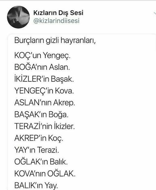 İkizlerin hayranı değilim 🤮