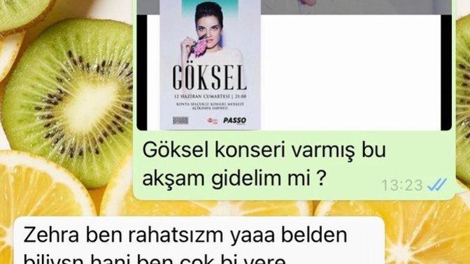 Kibarca red etmiş mi oluyor beni?