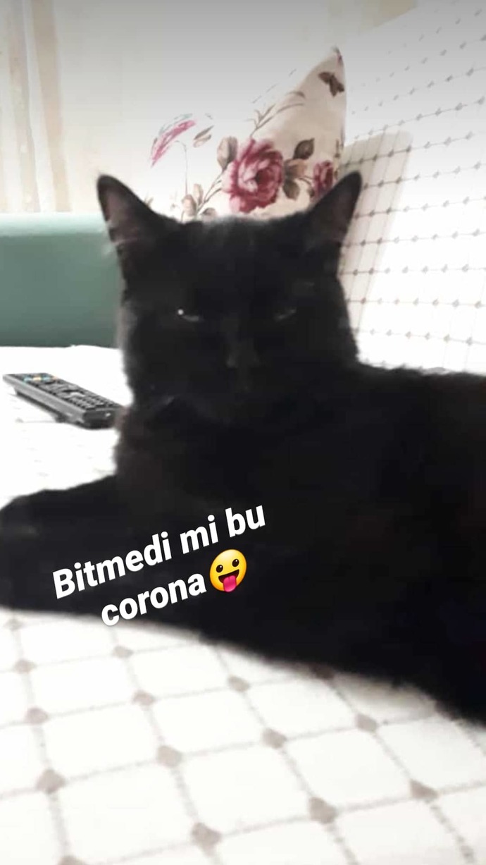 Kadınlar neden fakir erkekleri sevmiyor?