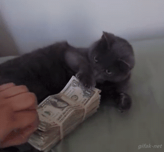 Elimizdeki birikimleri korumak &ccedil;ok &ouml;nemli.💰