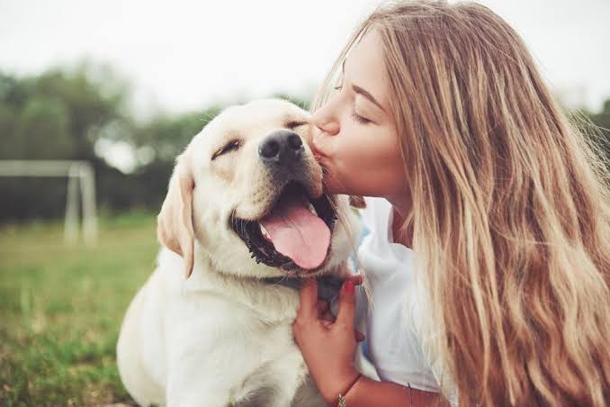 Kedi/köpek beslemek isteyen bir insana ilk olarak ne önerirsiniz?