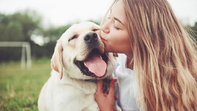 Kedi/köpek beslemek isteyen bir insana ilk olarak ne önerirsiniz?