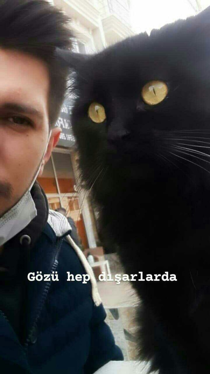Sizin evcil hayvanınız var mı, varsa görebilir miyiz🙈?