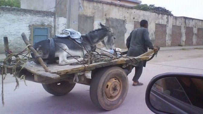 Sizce neden insanlar vefasız, vefa bir duygu mu yoksa kişilik mi?