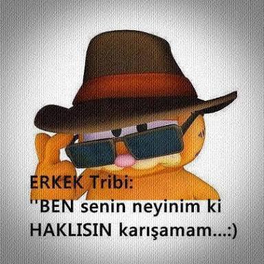 Hiç erkek tribi yediniz mi?