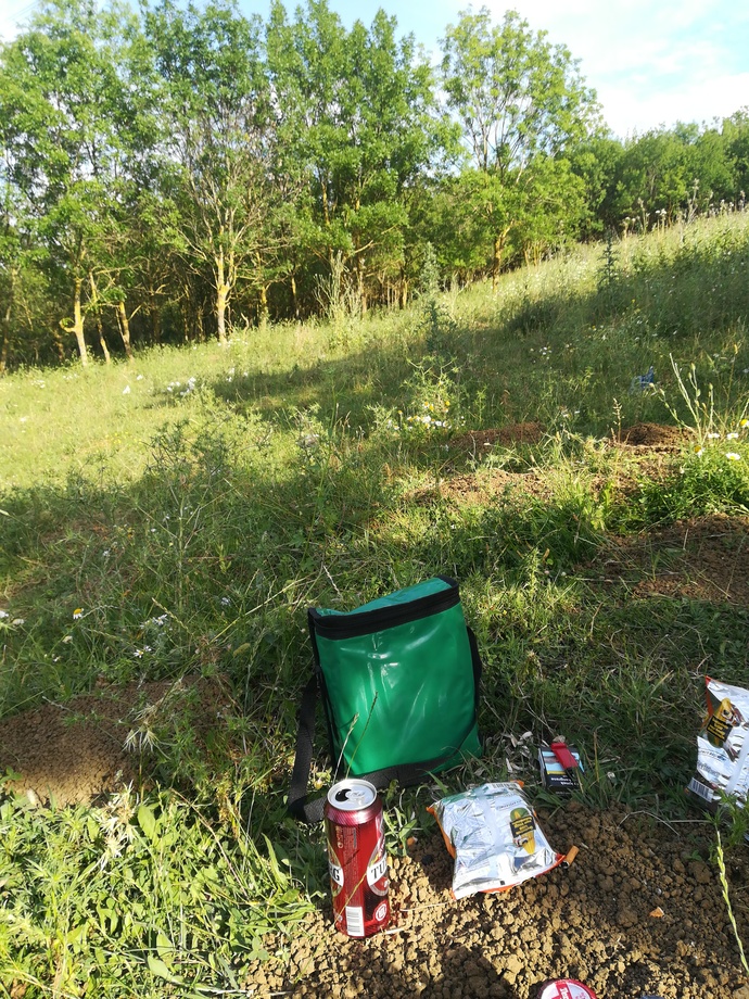Sizin orada mevsim yaz mı?