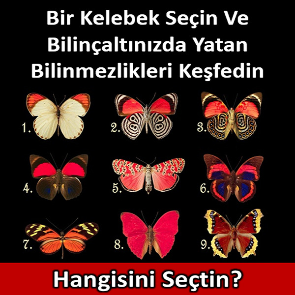 Bir kelebek seç knk?
