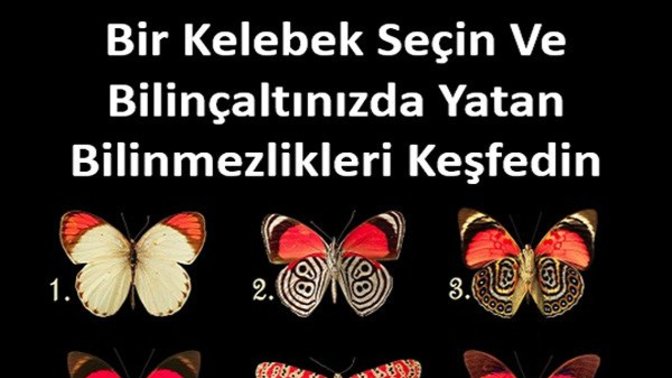 Bir kelebek seç knk?