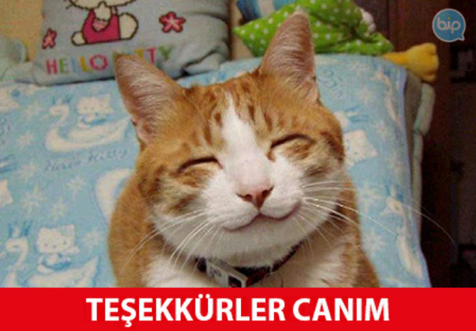 Valiz mi sırt çantası mı?