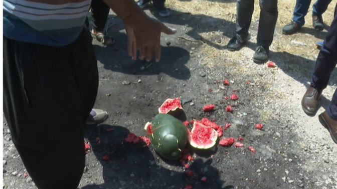 Adana'da çiftçi karpuzu yere fırlatıp "Para etmiyor, böyle iktidar olur mu ya!" diye isyan etti. Sizler iktidardan memnun musunuz?