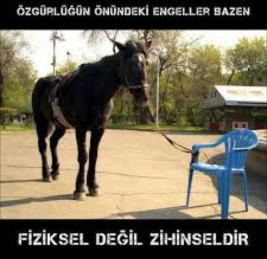 Türkiye hakında umudunuz var mı?