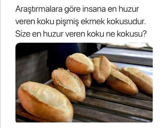 Sizin en sevdiginiz koku nedir?