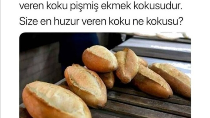 Sizin en sevdiginiz koku nedir?