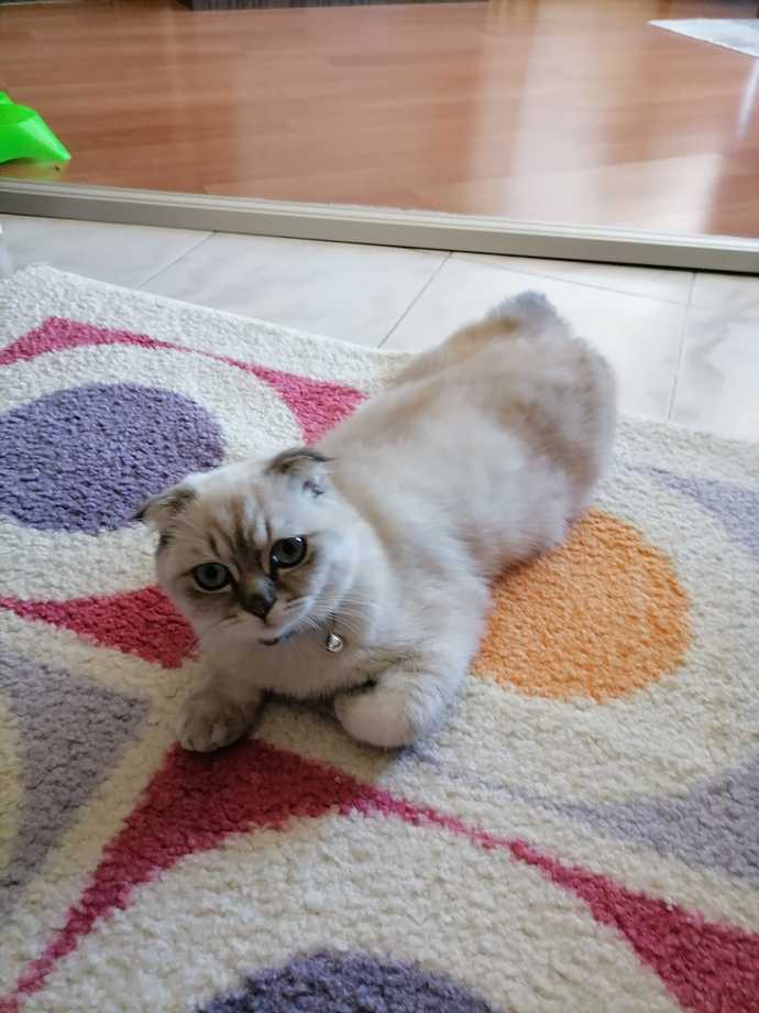 😍 😍 😍 😍