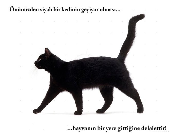 Batıl inançlarınız var mı?